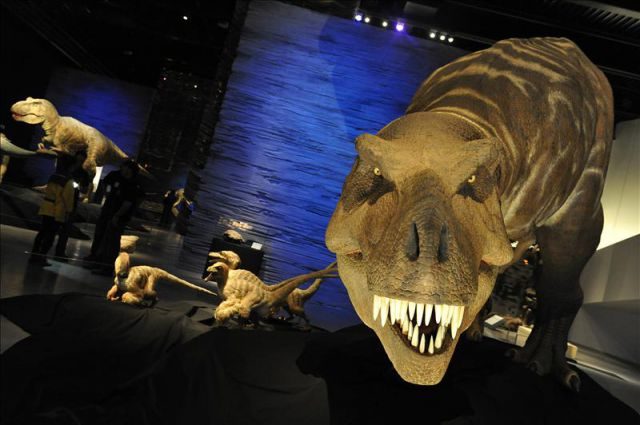 Imagen de la exposición "Tyrannosaurus rex", en el Parque de las Ciencias de Granada