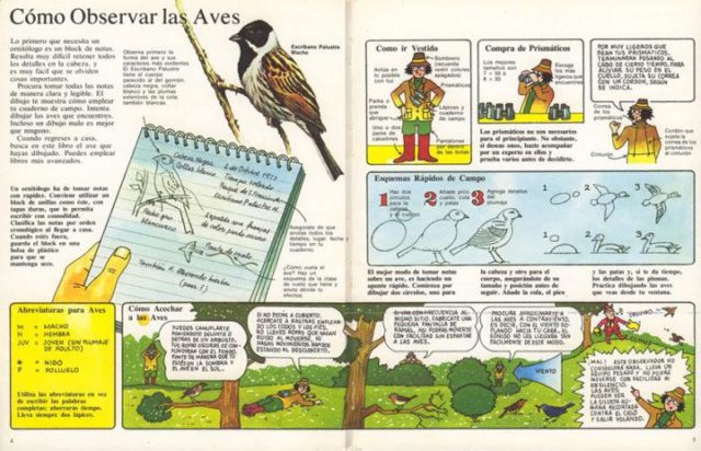  Pájaros, Malcom Hart, ediciones Plesa, 1986
