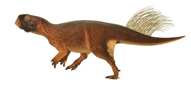 Psittacosaurus. Imagen de Vinther et al. 2016