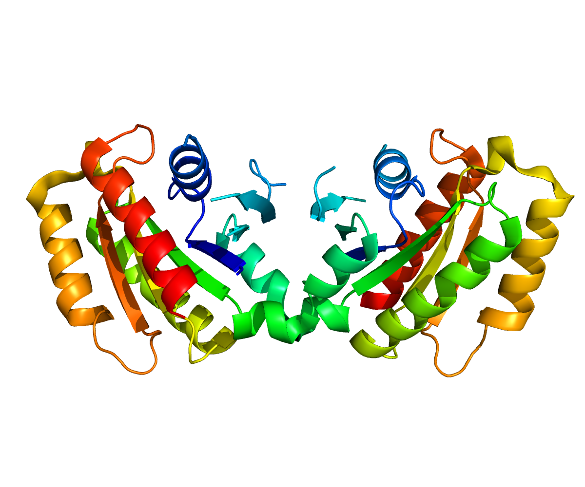 Protein_LRRK2_PDB_2ZEJ