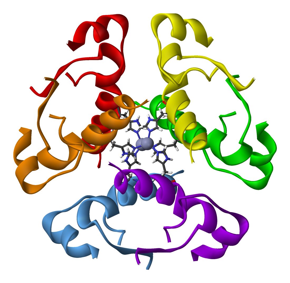 Configuración hexamérica de la insulina (Wikipedia commons). Las insulinas lentas estabilizan esta conformación. 
