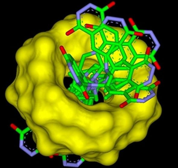Compuesto bioactivo encapsulado por una ciclodextrina