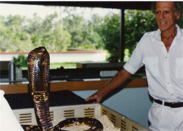 Bill Haast y el veneno de las serpientes más peligrosas del mundo
