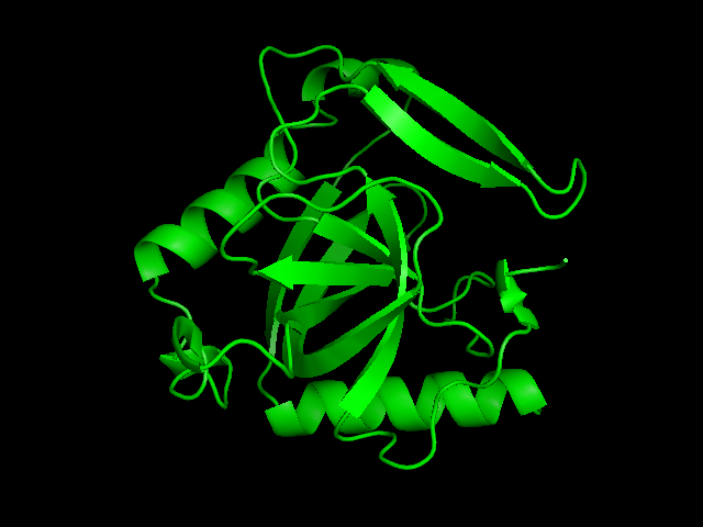 Pirofosfatasa inorgánica. Una de las proteínas analizadas en el estudio. | Imagen: Wikimedia Commons