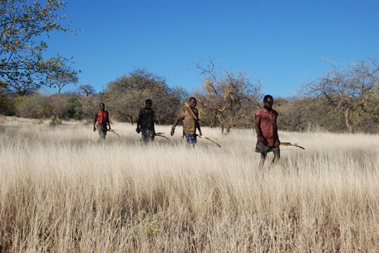 Grupo de cazadores Hadza durante una salida. Imagen: Brian Wood.