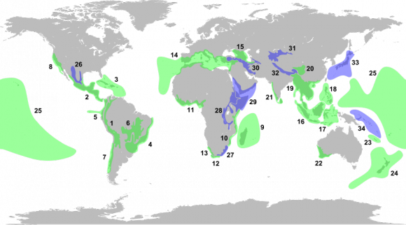 Puntos de alta biodiversidad (Wikipedia)