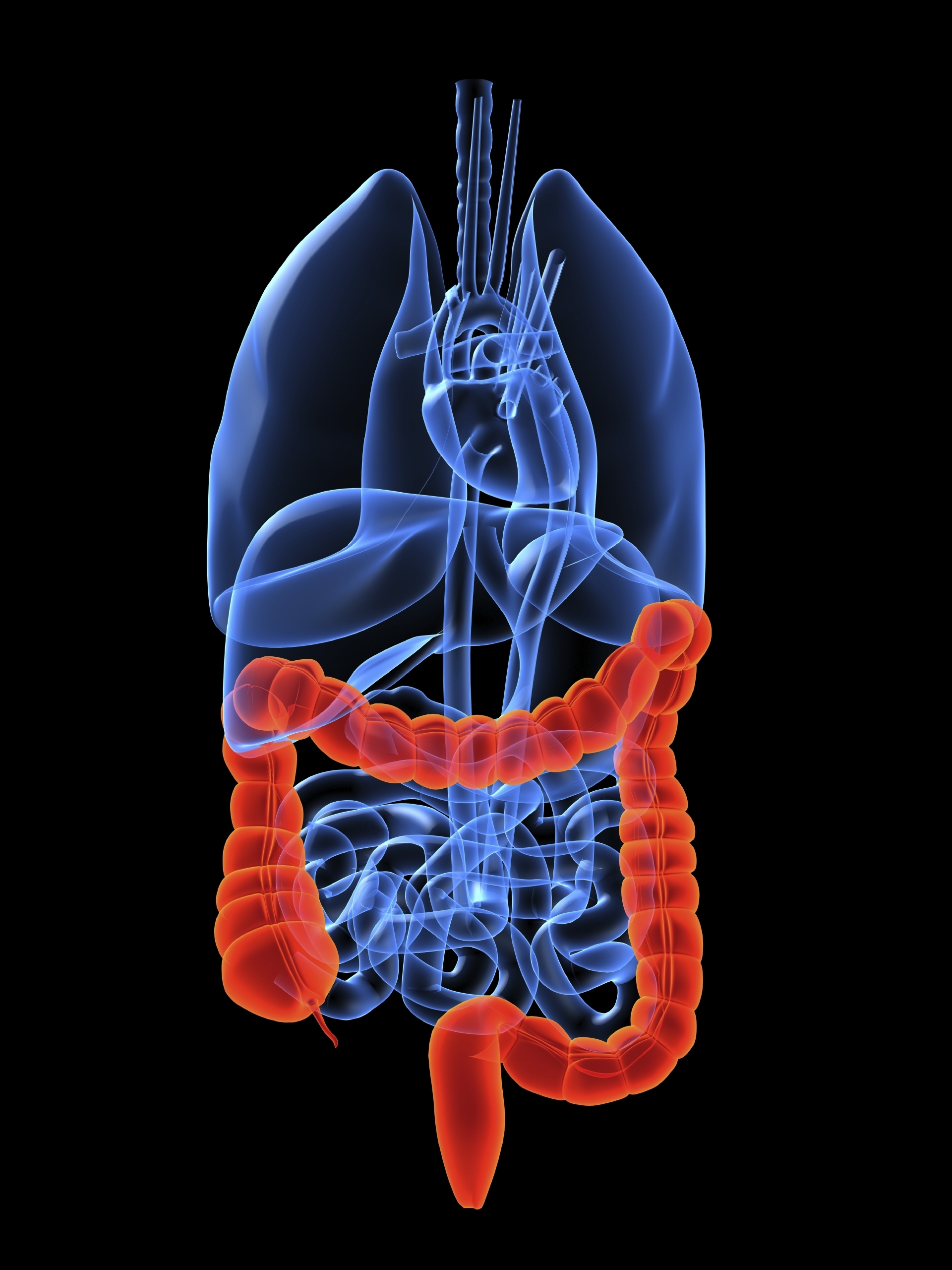 Detección precoz del cáncer de colon por métodos no invasivos