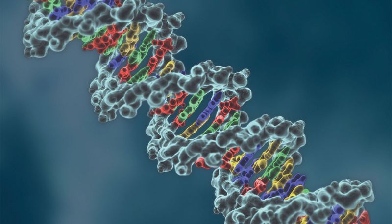 La inminente revolución de la ingeniería genética basada en el sistema CRISPR/Cas