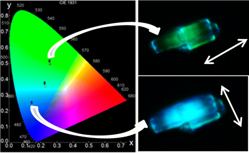 Un material que cambia de color en función de la polarización de la luz incidente