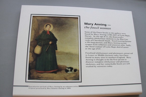 Mary Anning - Natural Museum, Londres (Javier Peláez)