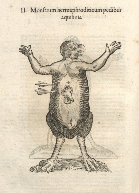 Un monstruo hermafrodita con pies de águila en Monstruorum historia de Ulisse Aldrovandi