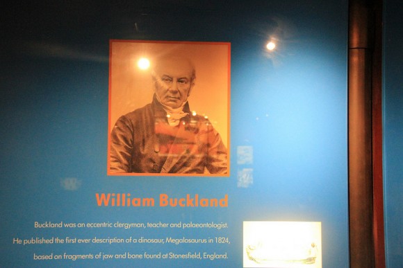William Buckland - Natural Museum, Londres (Javier Peláez)