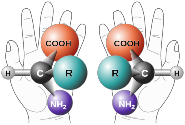 640px-Chirality_with_hands.svg