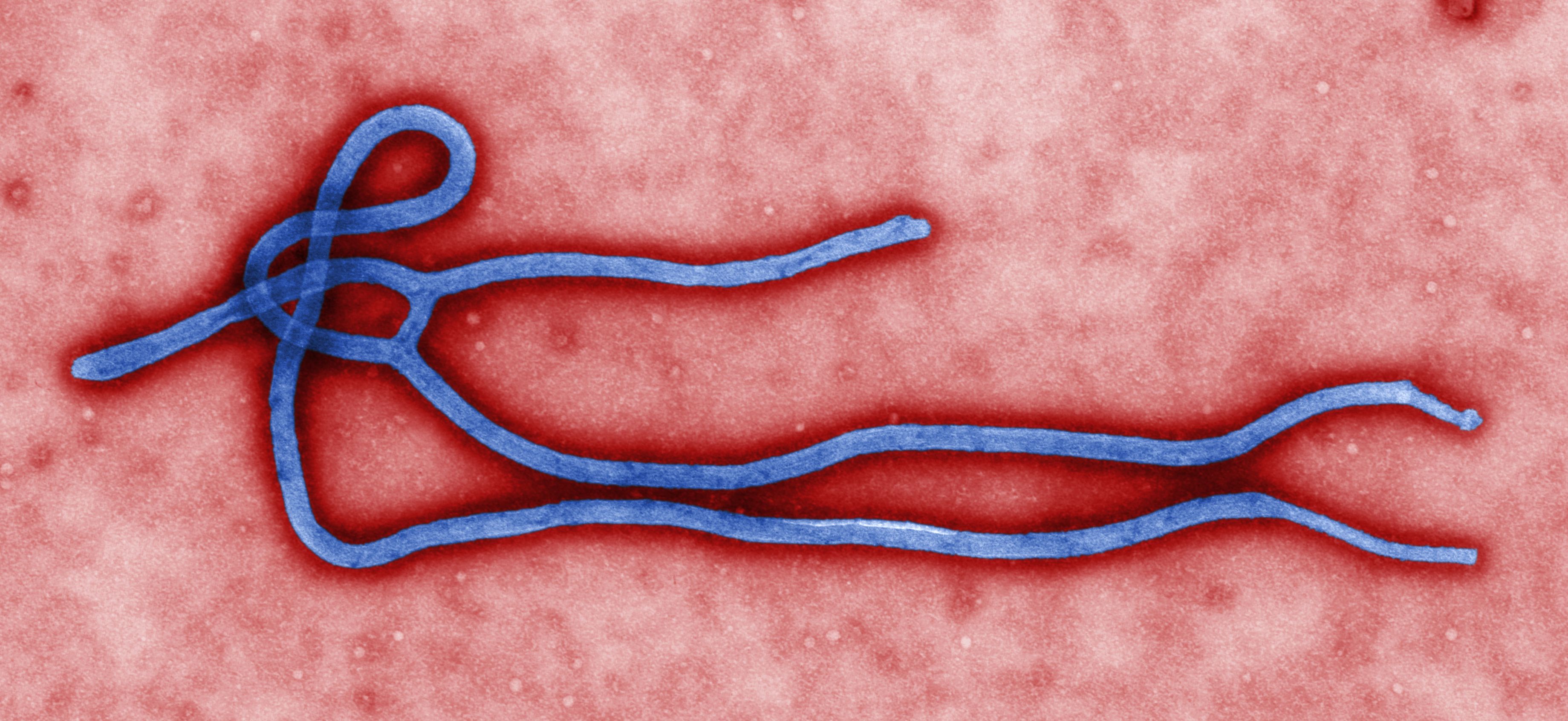 Zientziateka: El temor en los tiempos del ébola