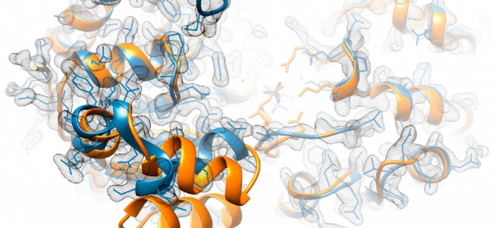 Las contorsiones de una enzima clave para la tuberculosis