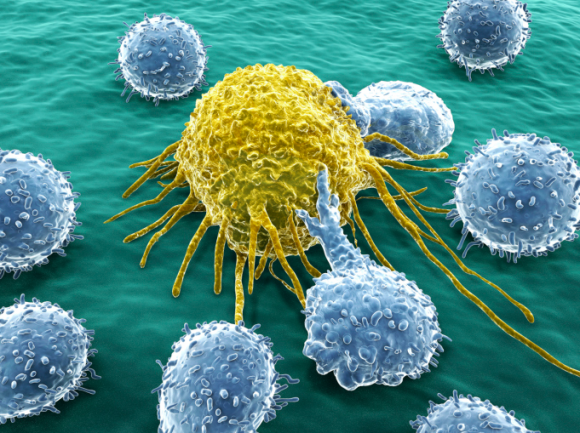 Inmuno oncología