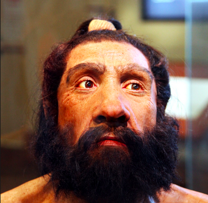 Los neandertales: una investigación sin fin