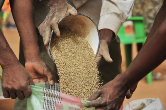 Inseguridad alimentaria en el Sahel. Foto: FAO