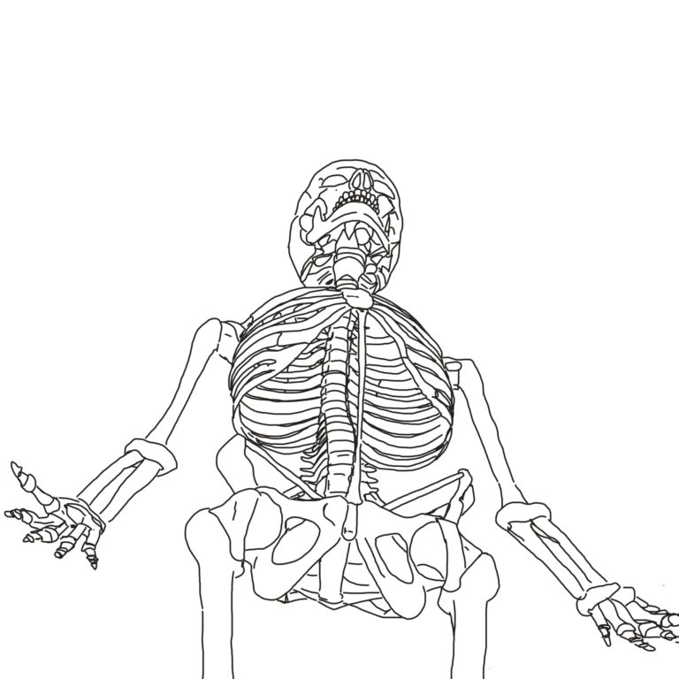 ilustracion huesos