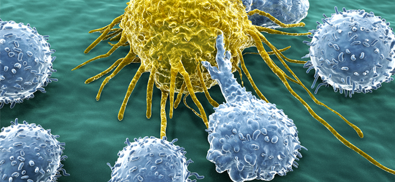 Inmunoterapia contra el cáncer