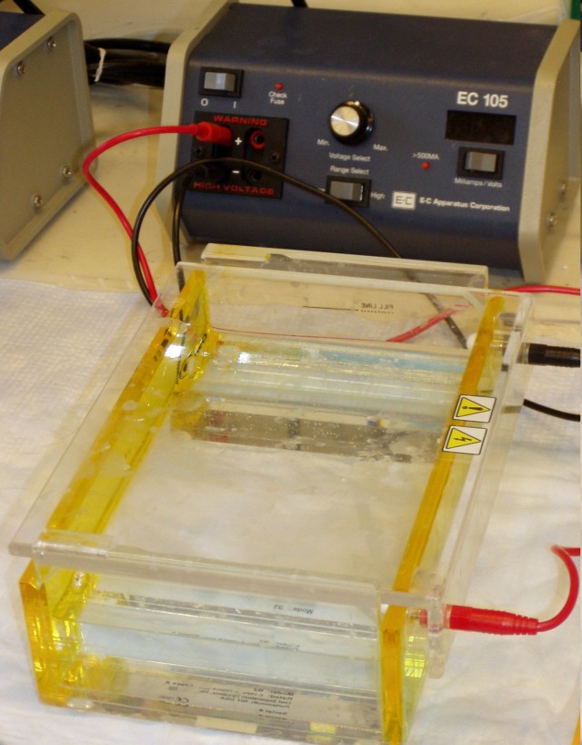 Aparato simple de electroforesis en gel