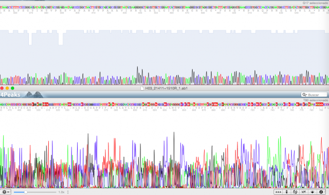 Lectura del gen ADNr 16S llena de indeterminaciones