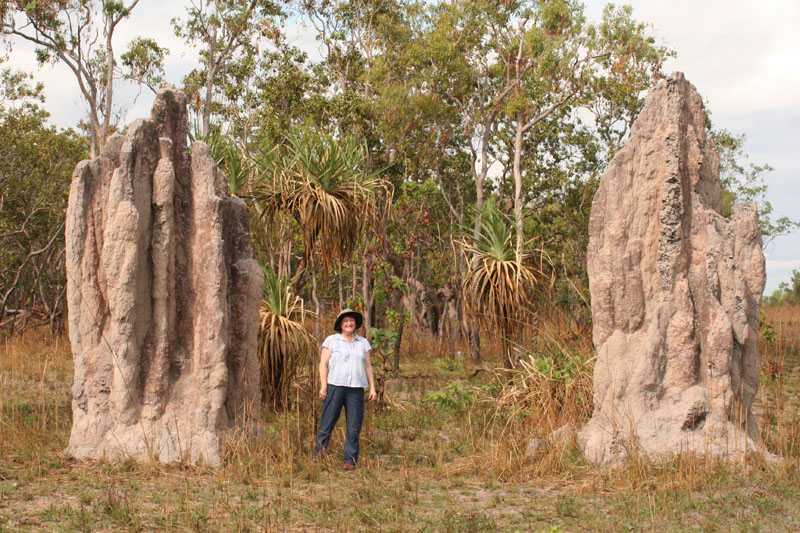 RayNorris_termite_cathedral_mounds