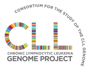 Lado oscuro del genoma y leucemia: aspectos éticos y legales de una investigación