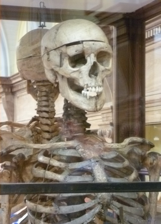 Esqueleto de Burke