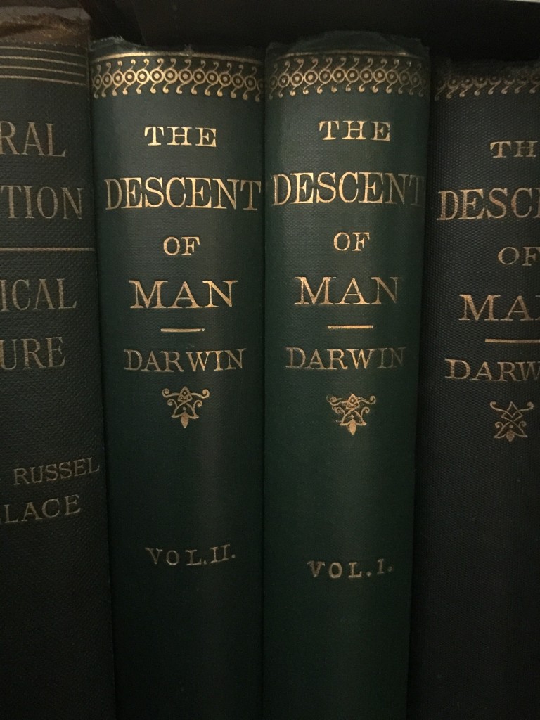 02 DESCENT OF MAN