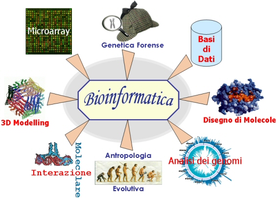 Bioinformática