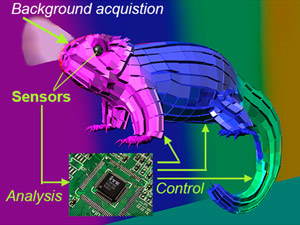 Un camaleón plasmónico que cambia de color en función del entorno