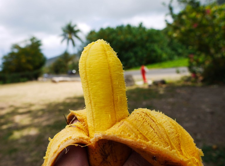 Plátanos contra la ceguera