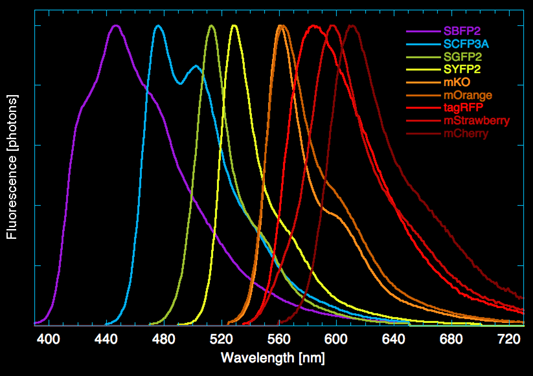 Espectros fluorescentes