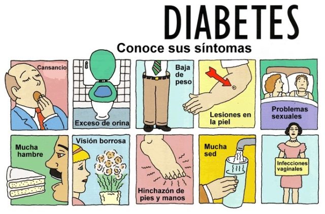 once apelación Hostal Vida saludable contra la diabetes — Cuaderno de Cultura Científica