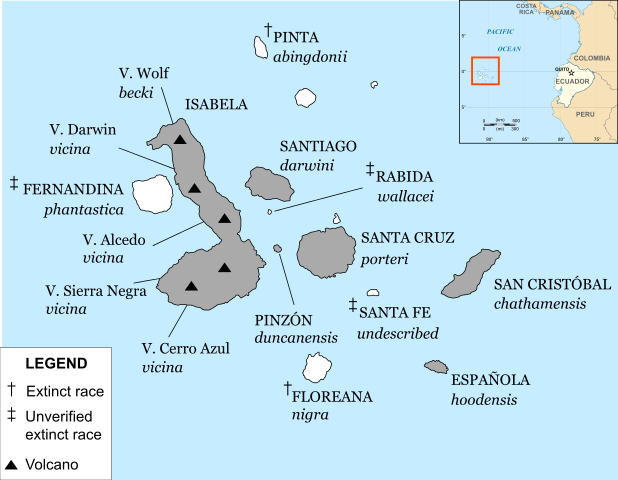 618px-Galapagos_tortoise_distribution_map.svg