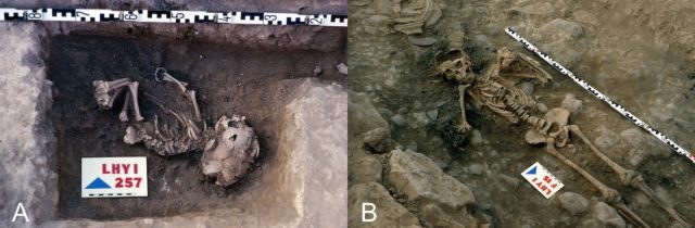 Restos óseos humanos de un bebé (A) y un individuo adulto (B) encontrados en el poblado de La Hoya. 