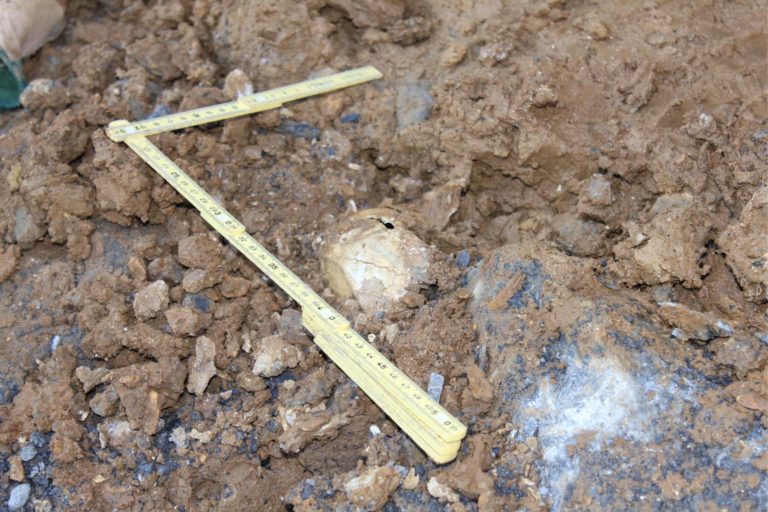 Artazu VII, una trampa mortal del Pleistoceno que es un tesoro