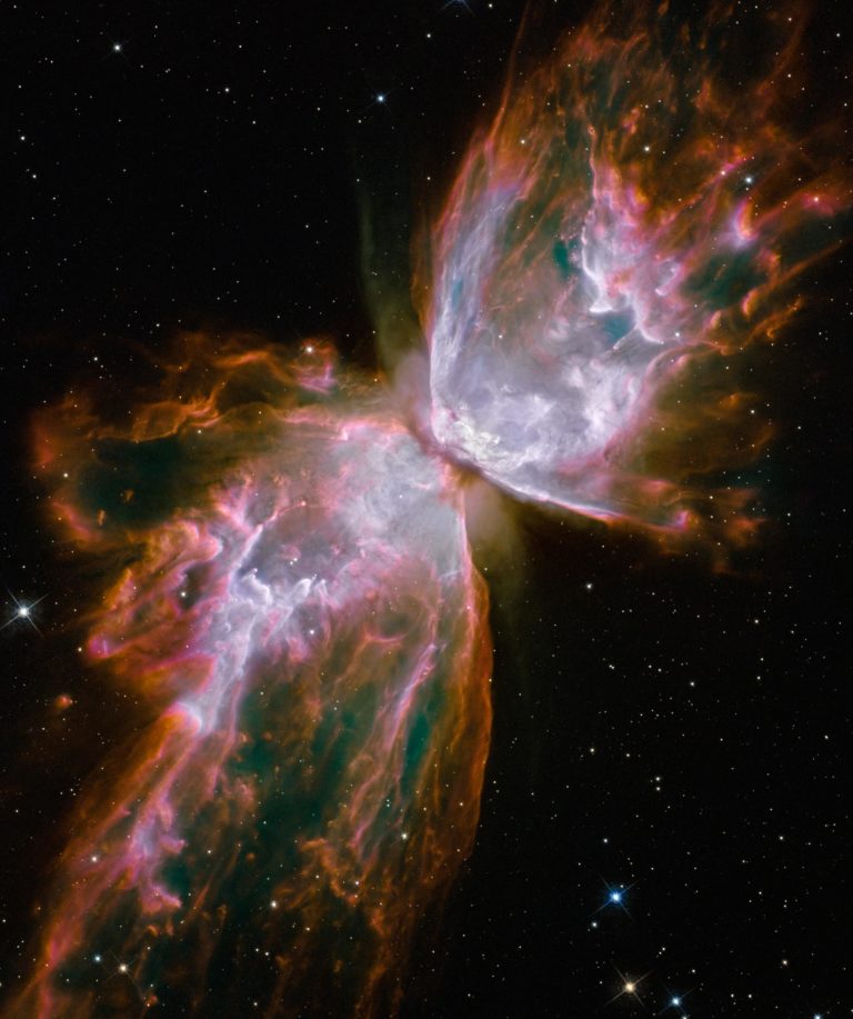 La nebulosa del Bicho* y el anillo no único
