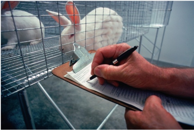 #Naukas15 ¿Es necesario usar animales en investigación?