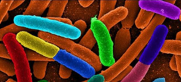 Superbacterias