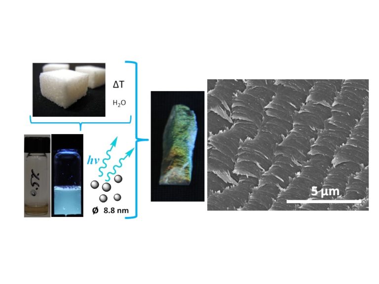 Membranas de celulosa nanoestructurada como sensores de metales