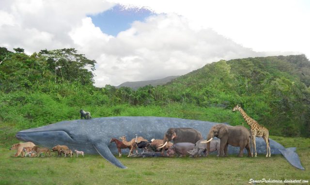 Evolución del tamaño animal — Cuaderno de Cultura Científica