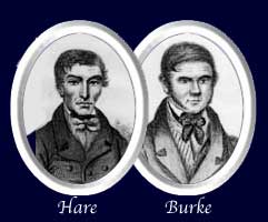 Hare_and_Burke_drawing