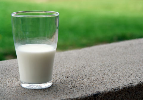Estroncio en la leche