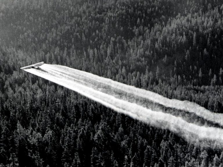1955._Fort_tri-motor_spraying_DDT._Western_spruce_budworm_control_project._Powder_River_control_unit,_OR._(32213742634)