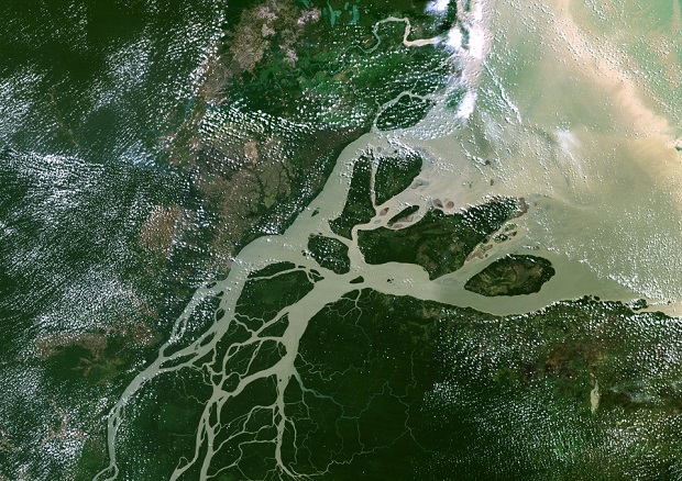 Amazon delta.