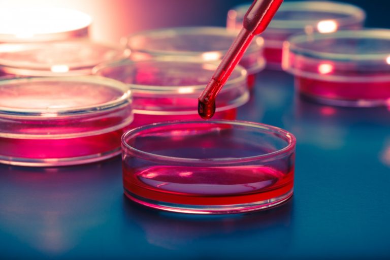 Medicina regenerativa: utilización de células madre para el tratamiento de enfermedades humanas