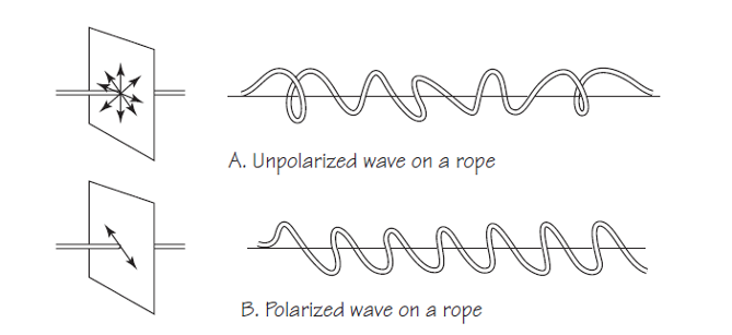 Tipos de ondas — de Científica