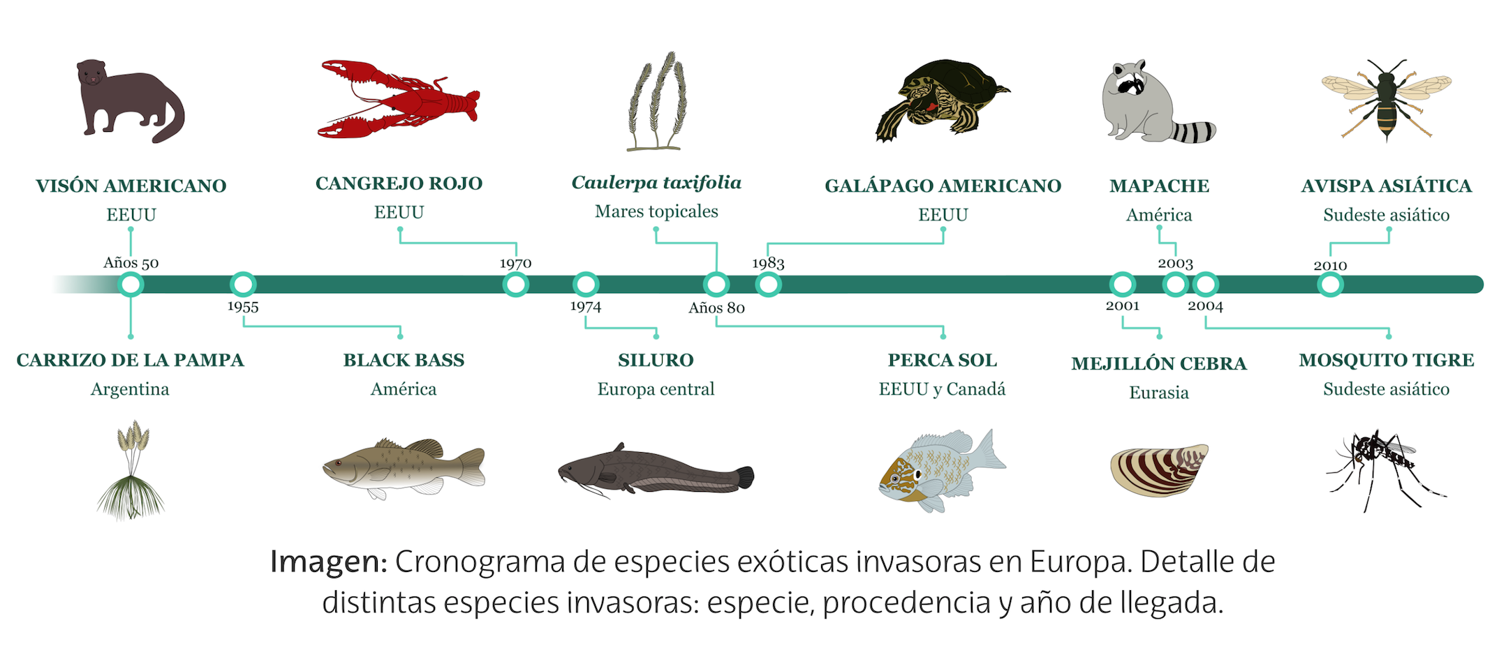 Espécies exóticas invasoras